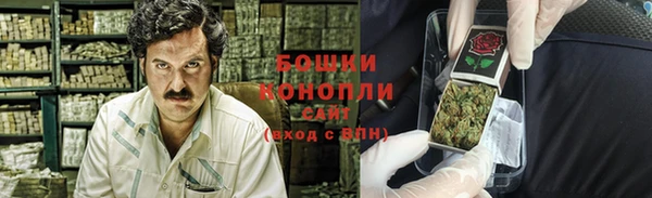 прущие крисы Вяземский