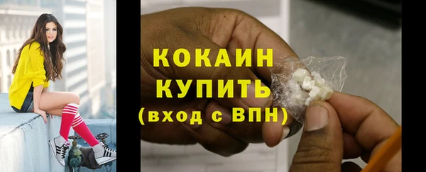 прущие крисы Вяземский