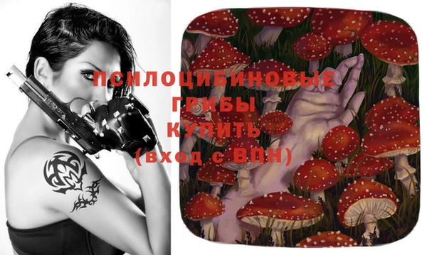 прущие крисы Вяземский