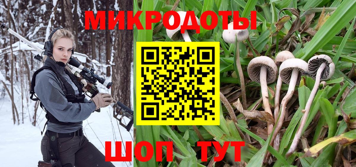 Железногорск  Псилоцибиновые грибы Cubensis  Вход с VPN 